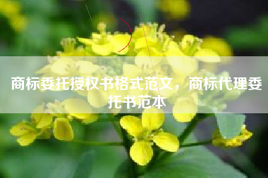 商标委托授权书格式范文，商标代理委托书范本