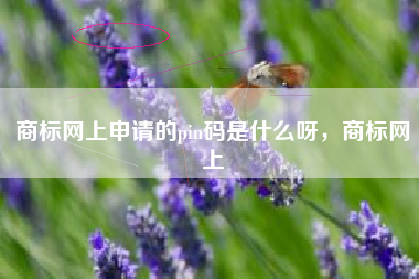 商标网上申请的pin码是什么呀，商标网上