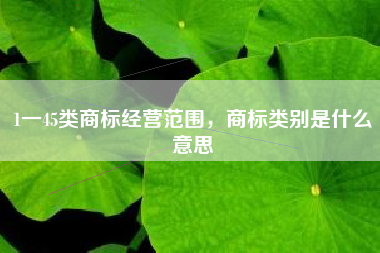 1一45类商标经营范围，商标类别是什么意思