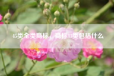 45类全类商标，商标43类包括什么