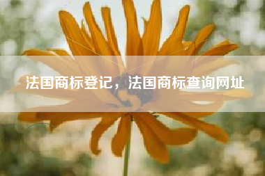 法国商标登记，法国商标查询网址