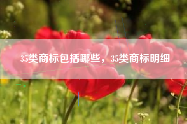 35类商标包括哪些，35类商标明细
