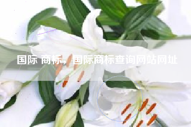 国际 商标，国际商标查询网站网址
