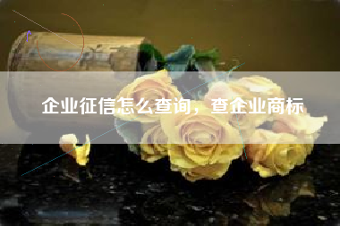 企业征信怎么查询，查企业商标