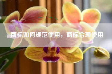 商标如何规范使用，商标合理使用