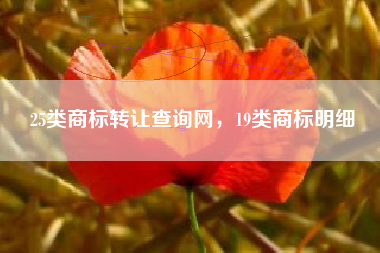 25类商标转让查询网，19类商标明细