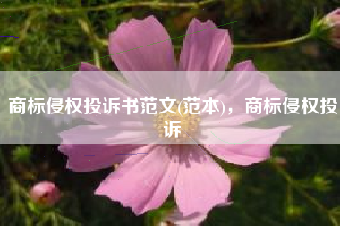 商标侵权投诉书范文(范本)，商标侵权投诉