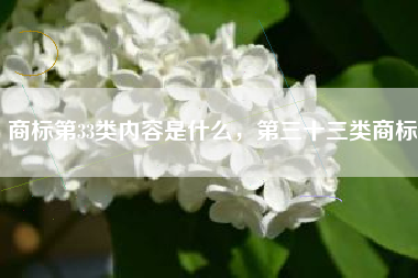 商标第33类内容是什么，第三十三类商标
