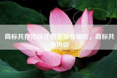 商标共存协议注意事项有哪些，商标共存协议