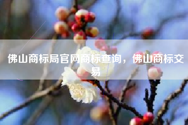 佛山商标局官网商标查询，佛山商标交易
