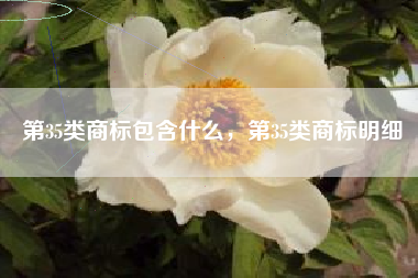 第35类商标包含什么，第35类商标明细