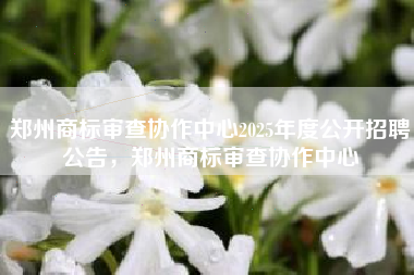 郑州商标审查协作中心2025年度公开招聘公告，郑州商标审查协作中心