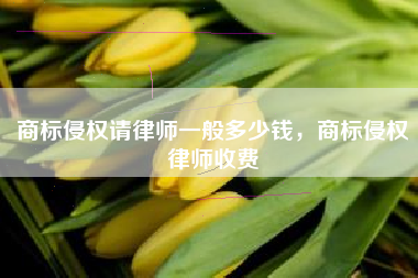 商标侵权请律师一般多少钱，商标侵权律师收费