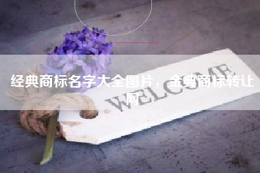 经典商标名字大全图片，金典商标转让网