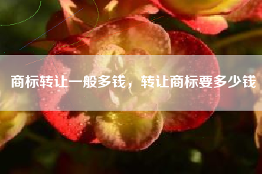 商标转让一般多钱，转让商标要多少钱