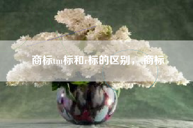 商标tm标和r标的区别，.商标