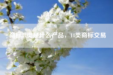 商标14类是什么产品，14类商标交易