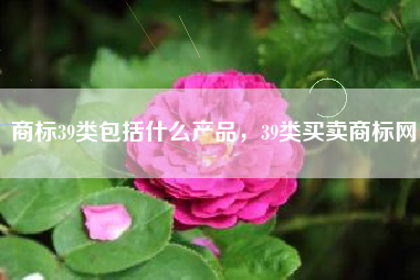 商标39类包括什么产品，39类买卖商标网