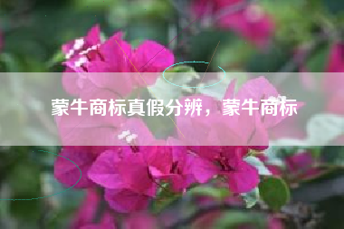 蒙牛商标真假分辨，蒙牛商标