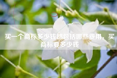买一个商标多少钱都包括哪些费用，买商标要多少钱