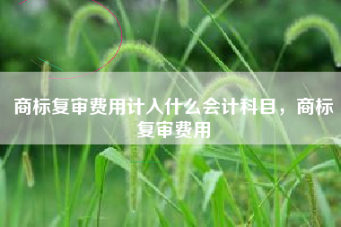 商标复审费用计入什么会计科目，商标复审费用