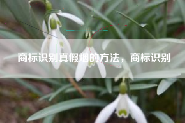 商标识别真假烟的方法，商标识别