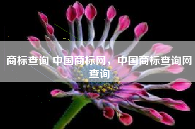 商标查询 中国商标网，中国商标查询网查询
