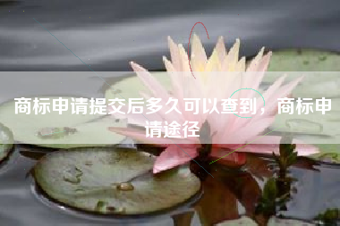 商标申请提交后多久可以查到，商标申请途径