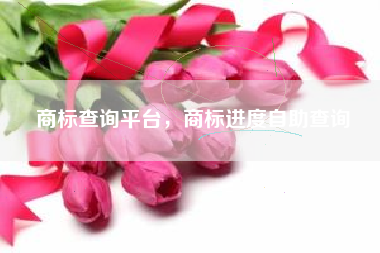 商标查询平台，商标进度自助查询