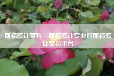 商标转让百科，商标转让专业的商标转让交易平台