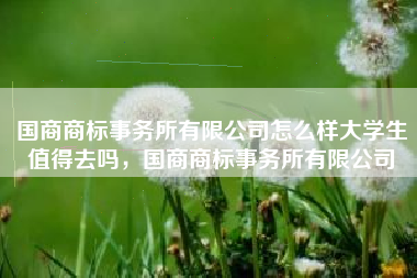 国商商标事务所有限公司怎么样大学生值得去吗，国商商标事务所有限公司