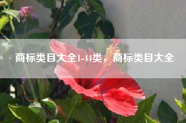 商标类目大全1-44类，商标类目大全