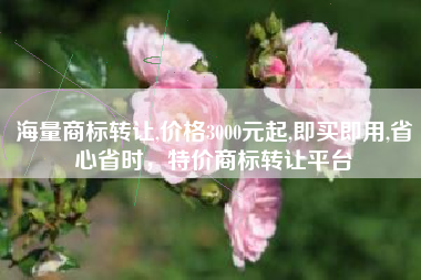 海量商标转让,价格3000元起,即买即用,省心省时，特价商标转让平台