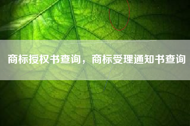 商标授权书查询，商标受理通知书查询