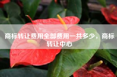 商标转让费用全部费用一共多少，商标转让中心