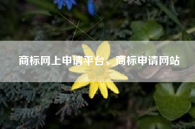商标网上申请平台，商标申请网站