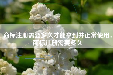 商标注册需要多久才能拿到并正常使用，商标注册需要多久