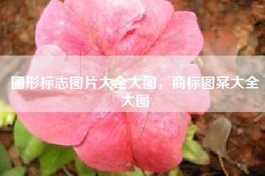 圆形标志图片大全大图，商标图案大全大图