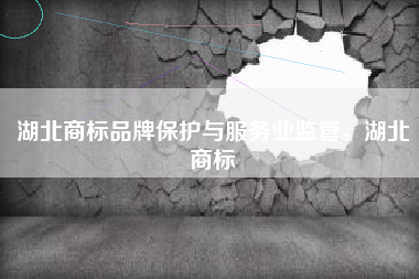 湖北商标品牌保护与服务业监管，湖北商标