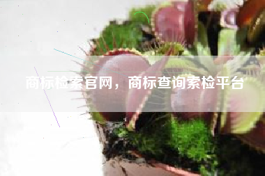 商标检索官网，商标查询索检平台