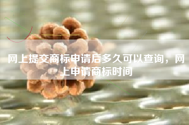 网上提交商标申请后多久可以查询，网上申请商标时间