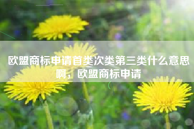 欧盟商标申请首类次类第三类什么意思啊，欧盟商标申请