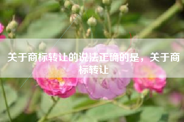 关于商标转让的说法正确的是，关于商标转让