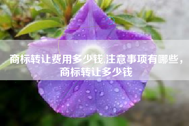 商标转让费用多少钱,注意事项有哪些，商标转让多少钱