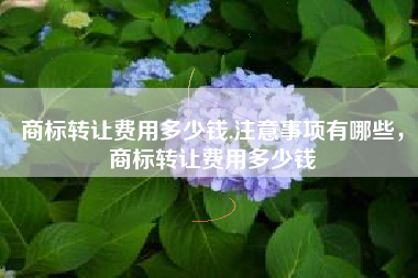 商标转让费用多少钱,注意事项有哪些，商标转让费用多少钱