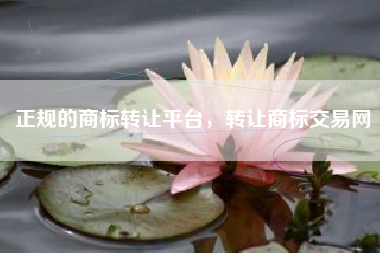 正规的商标转让平台，转让商标交易网