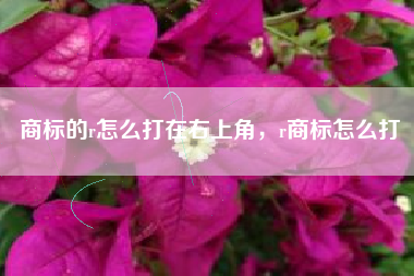 商标的r怎么打在右上角，r商标怎么打