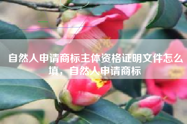 自然人申请商标主体资格证明文件怎么填，自然人申请商标