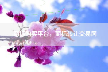 商标购买平台，商标转让交易网