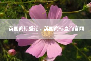 英国商标登记，英国商标查询官网